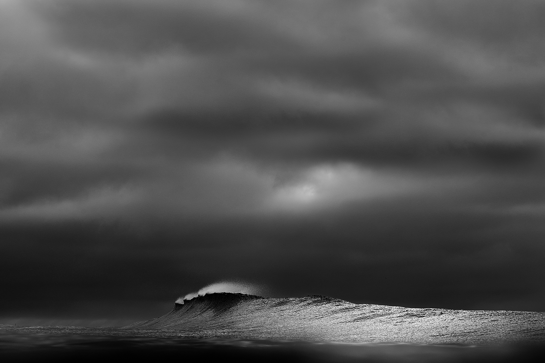 Wave swimmer Flo Wheels Miami | Daniel G Weiss